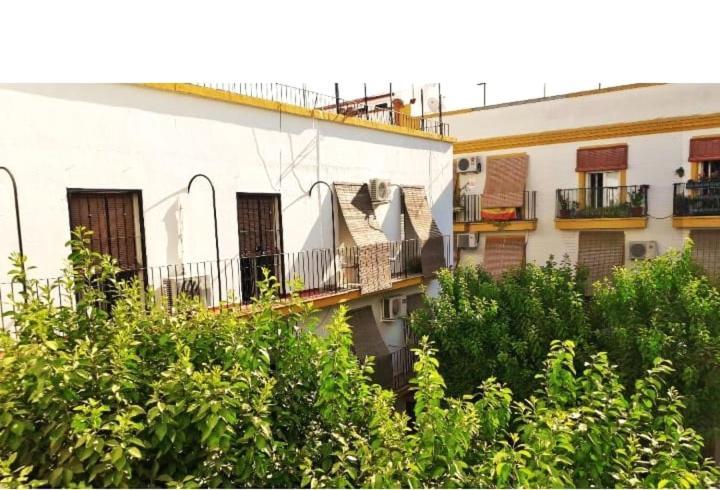 Roberta'S Guest House Sevilla Exteriör bild