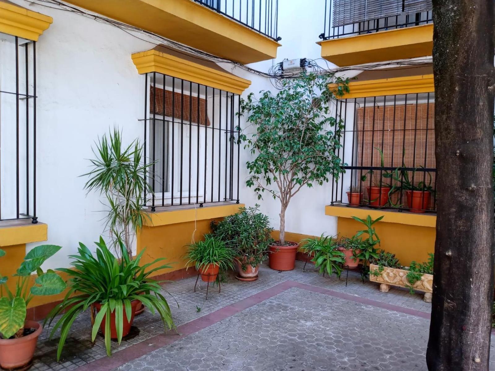 Roberta'S Guest House Sevilla Exteriör bild